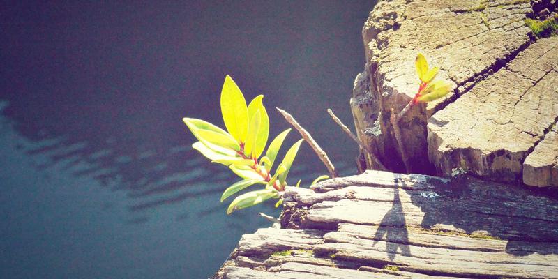 ISTUI36深度解析：红色主题与卡片式布局如何重塑用户体验