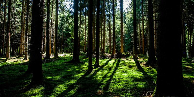 ISTUI5：以温馨治愈设计重塑数字情感体验