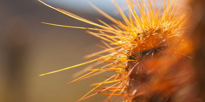 ISTUI79：用卡片式布局打造温馨治愈的UX设计新范式