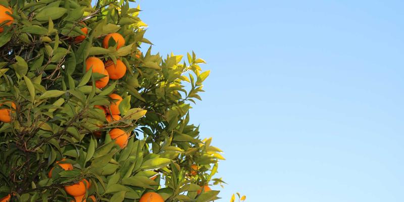 ISTUI框架单元测试与集成测试：如何保障红色主题组件库的UX与温馨治愈设计