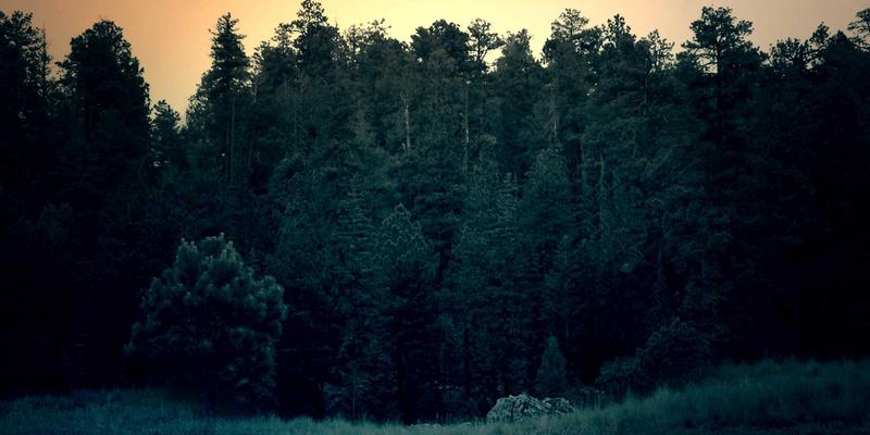 ISTUI设计哲学：以温馨治愈的UX/UI设计重塑数字情感体验