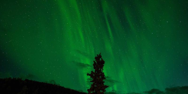 乾坤与Module Federation集成：ISTUI框架在微前端架构下的红色主题同步方案与卡片式布局实践