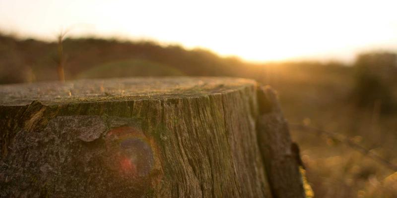 基于ISTUI的企业级仪表盘开发：红色主题与卡片式布局如何重塑数据可视化体验