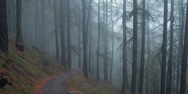 提升UX的关键一步：ISTUI框架下基于Cypress的端到端(E2E)测试策略