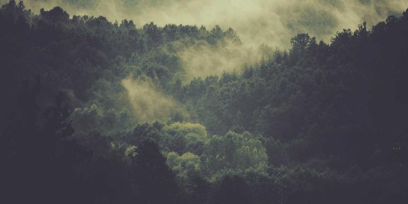 构建高效设计系统：基于ISTUI框架的UI/UX实践与卡片式布局协作指南