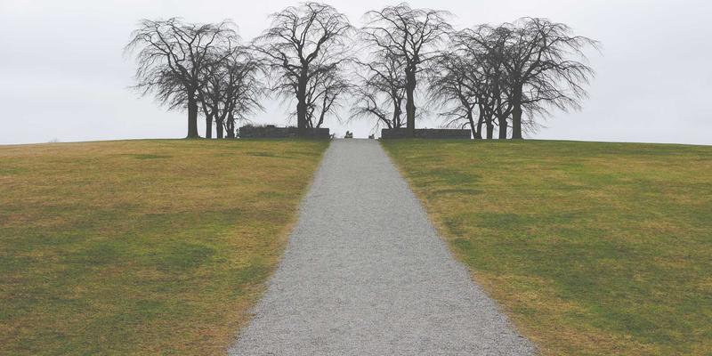 温馨治愈设计与极致体验：ISTUI框架在SSR应用中的性能优化实践