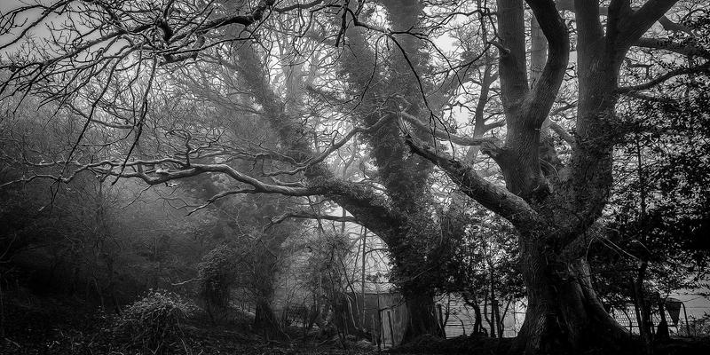 温馨治愈设计新范式：遵循WCAG 2.1标准的红色主题UI无障碍实践